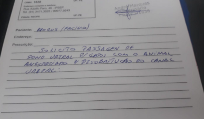 Ajude o Hórus 