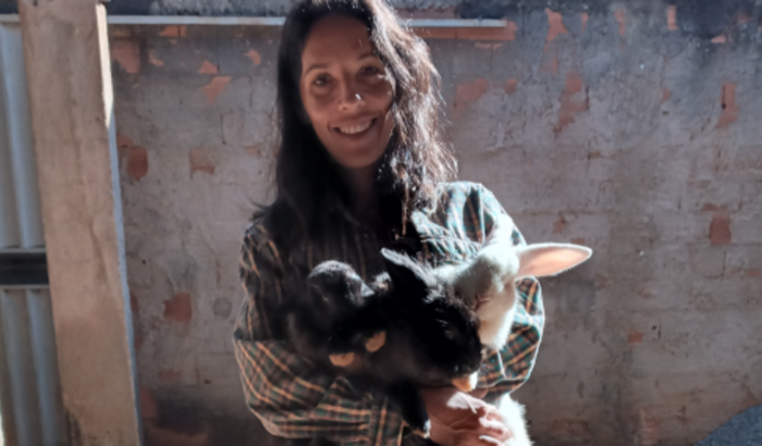 Cirurgia do meu coelho