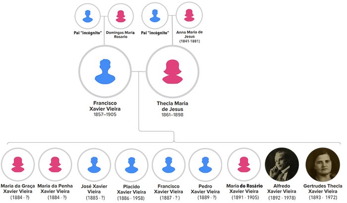 Testes de DNA: Descendentes de Thecla & Francisco Xavier Vieira
