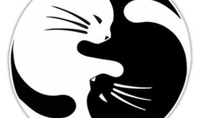 OUTUBRO - MÊS DAS NOSSAS CRIANÇAS DE 4 PATAS
