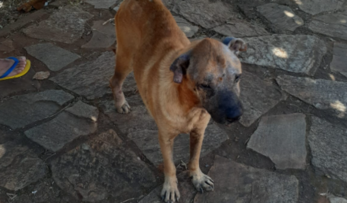 Monica de Sousa Feitosa