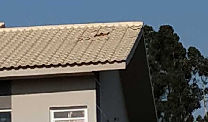 Casa propria