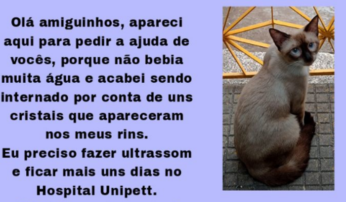 Ajuda para pagar os custos de internação do Alvin
