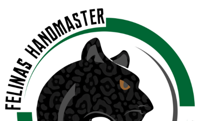 FELINAS RUMO AO BMC-SP