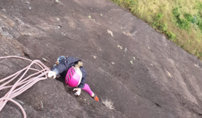 Duplicação e ajuste da Touro Louro