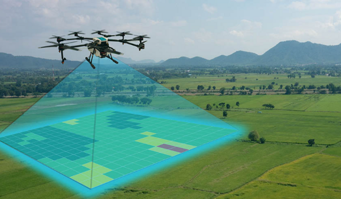 Me ajude a sair da CLT