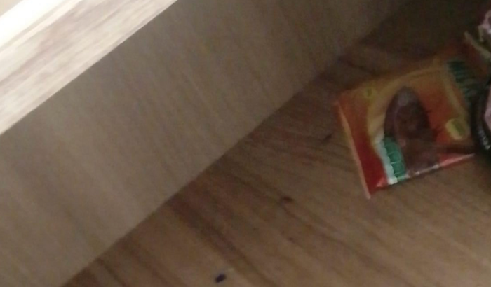 Ajuda para comprar alimentos 