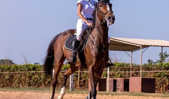 Perdi Patrocinadores! E preciso quitar a dívida do Haras e não tenho condições.