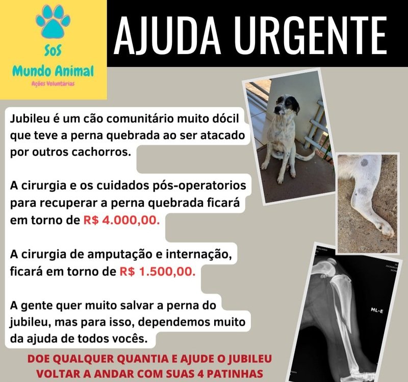 Ajuda cachorrinho RV 