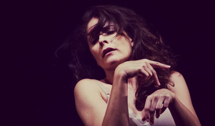 Gesto flamenco - O LIVRO