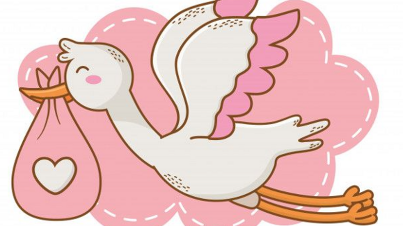 imagem da vaquinha Baby Shower Lara 