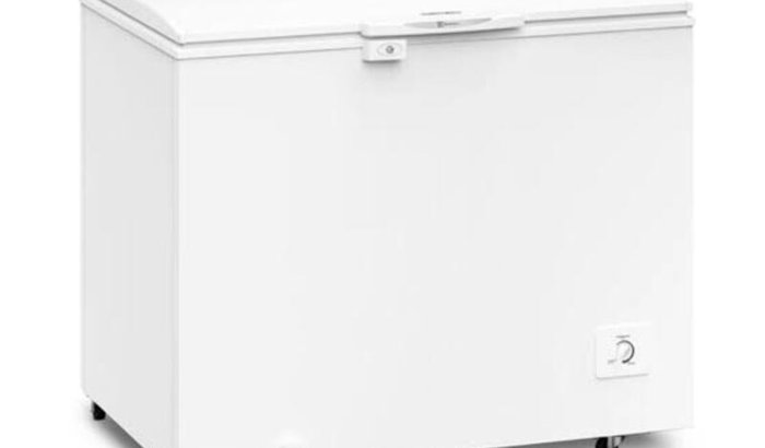 Freezer  pra trabalha com açaí 