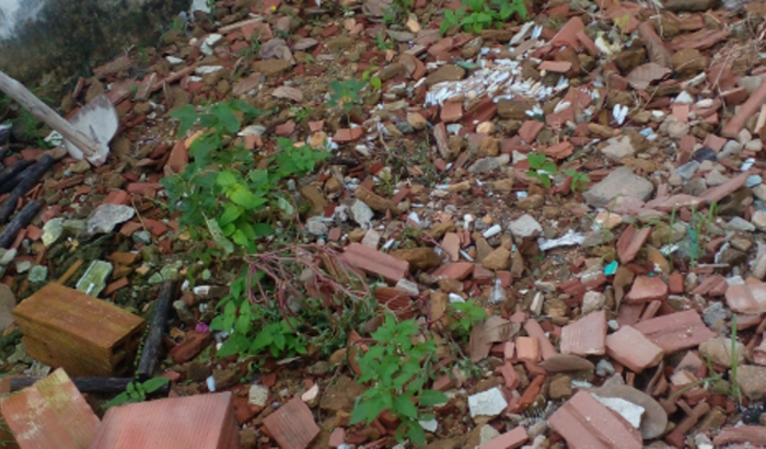 Mim ajude a não perde minha casa que ja está  em leilão 