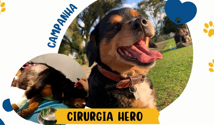 Cirurgia Hero