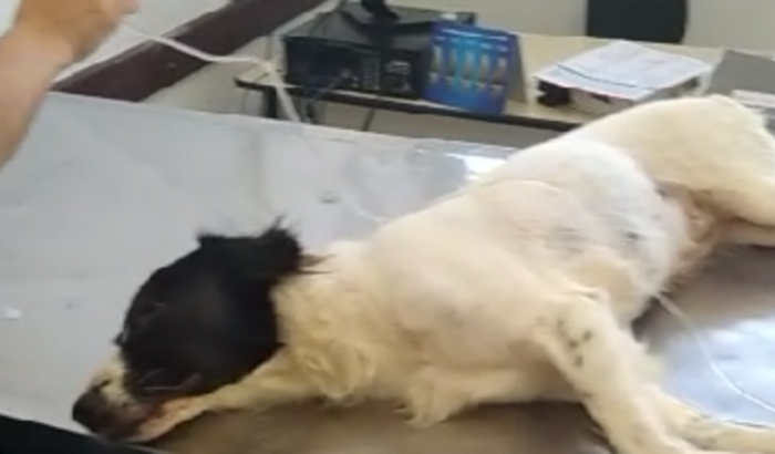 Ajuda a luna com o exame de ressonância pois está com problema na cabeça dela 