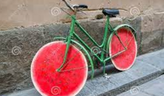 Bike do Boxe - Chaves Team