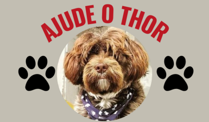 AJUDE O THOR 🐶