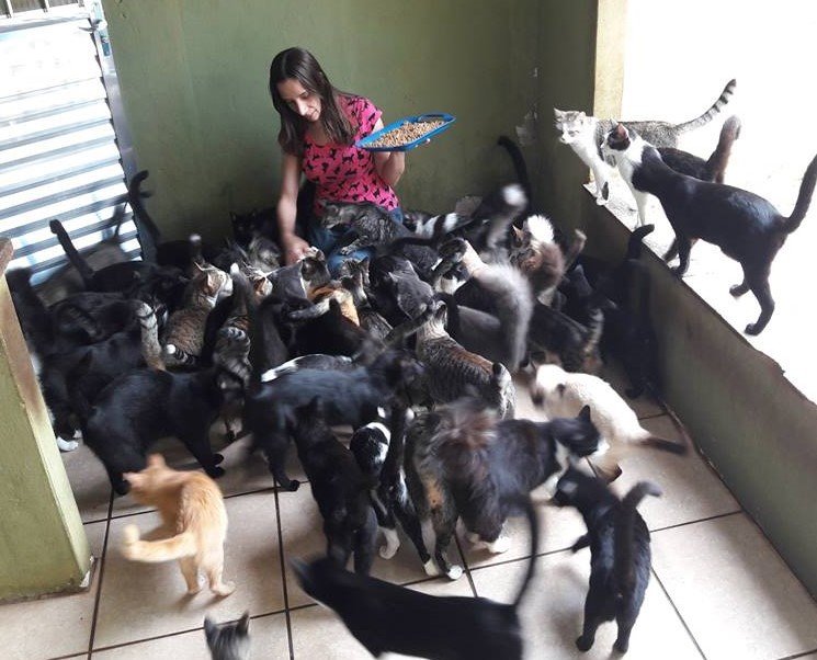 imagem da vaquinha Abrigo em dificuldades - Ajuda para quitar dívidas