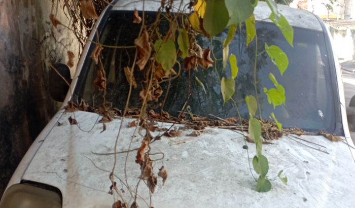 Ajudem meu irmão a consertar seu carro de trabalho