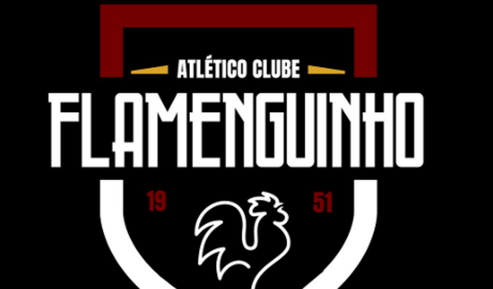 Conserto campo Flamenguinho