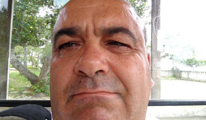 Ajuda ao filhote de gato bingo