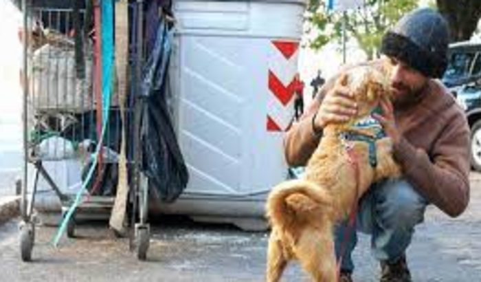 ajuda para moradores de rua e animais de rua