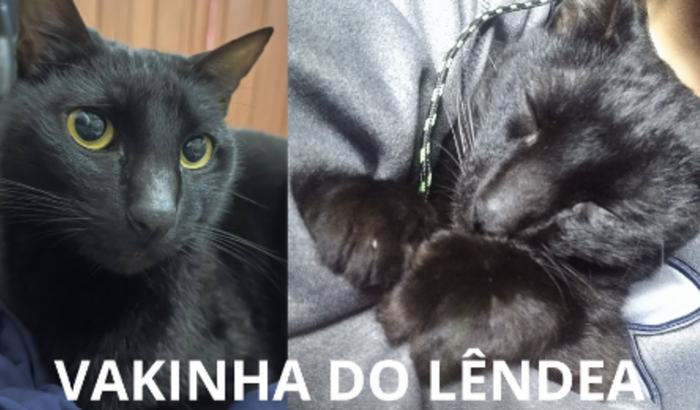 Vakinha do Lêndea