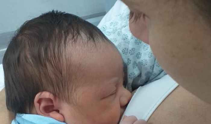 Ajude-me a voltar para palhoça. 