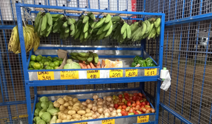 Ajuda para montar um hortifrute 