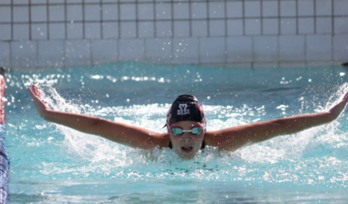 Materiais e Suplementos, traje de Natação e Campeonatos 
