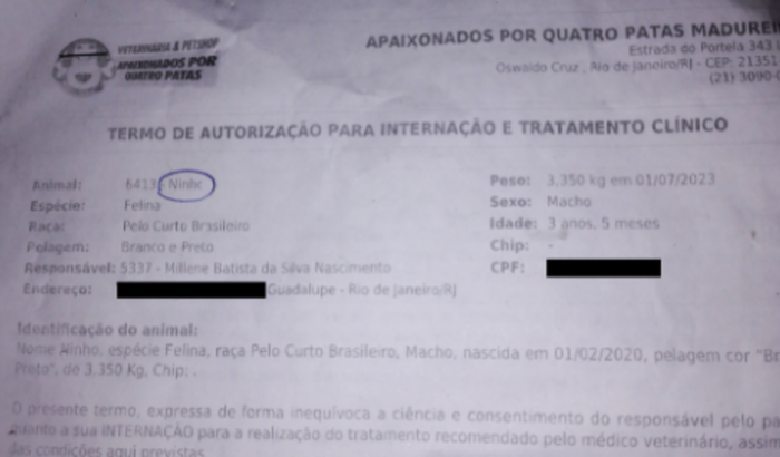 Ajude na internação do Ninho