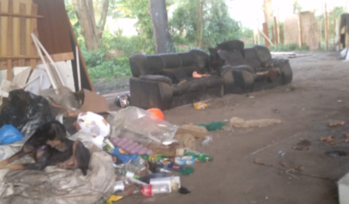 CAMPANHA VIADUTO Z. NORTE- SJC: MAEZINHAS/ BEBES E 10 DOGS