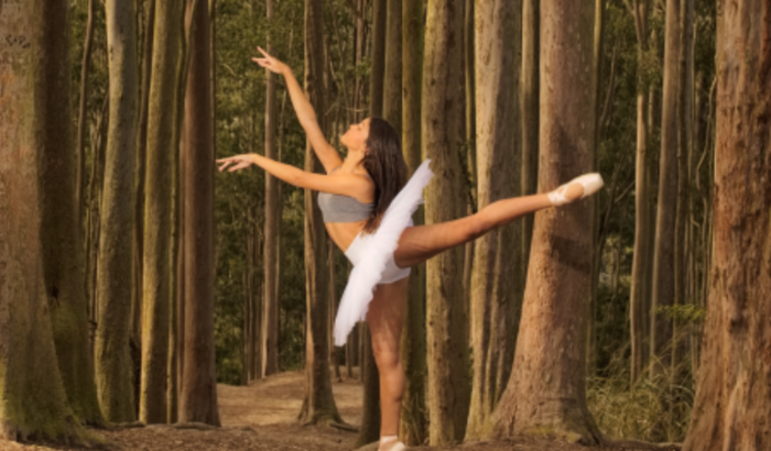 Ajuda para viagem da Camille