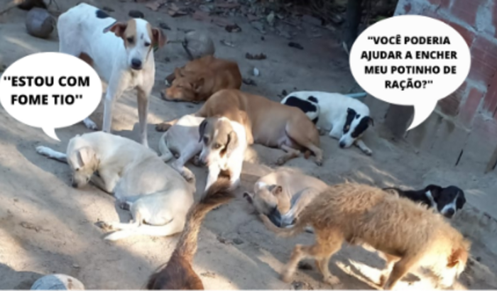 CAMPANHA DE RAÇÃO DO MÊS DE JULHO