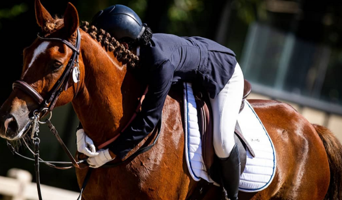 Campeonato brasileiro de adestramento 