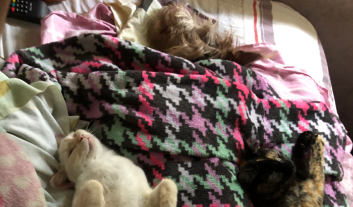 Ajuda para exames e medicações da minha guetynha