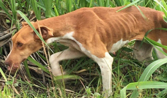 Vida nova pra Michelle