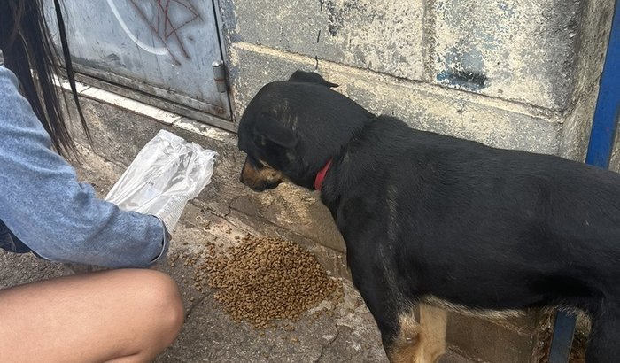 Alimentando o próximo 