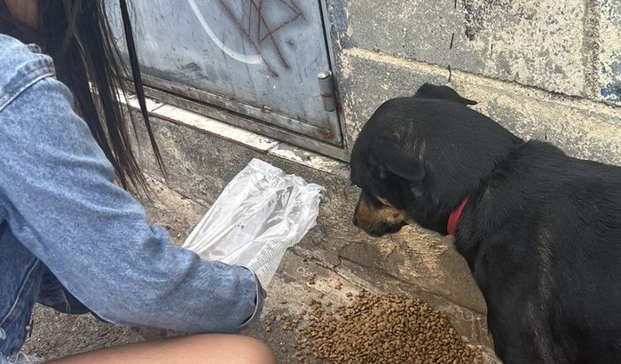 Alimentando o próximo 