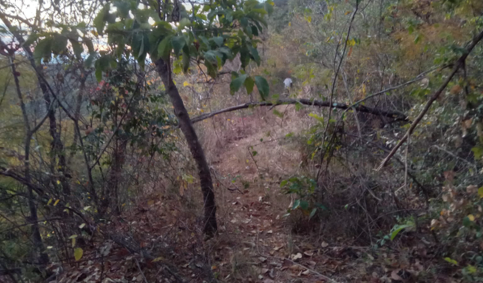 Trilha Verde da Maria Fumaça