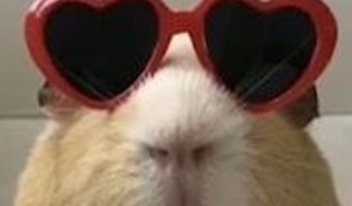 TS