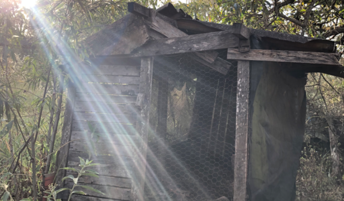 Construção do galinheiro da Mamãe 