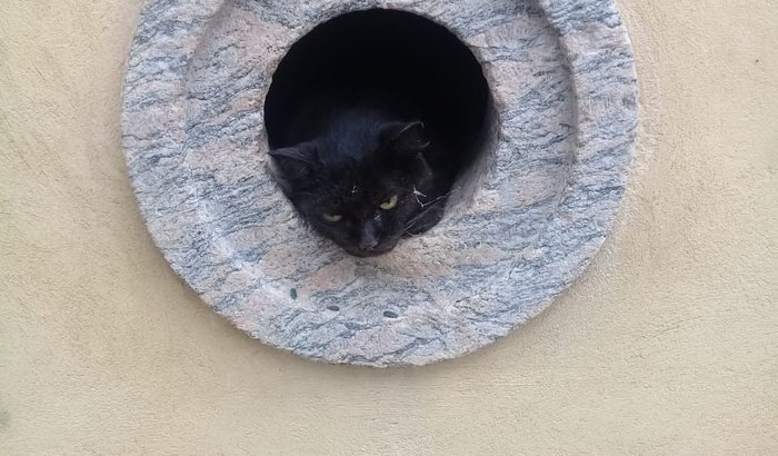 Ajude a Penélope