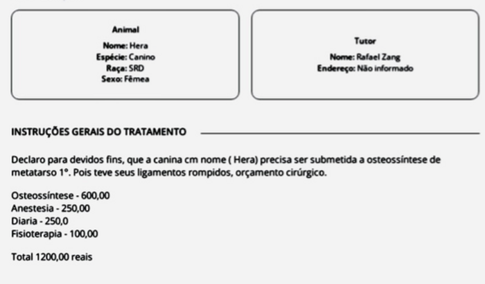 Cirurgia da minha cadela Hera