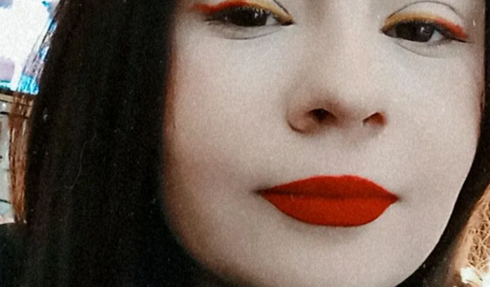 Vaquinha para caixa de lapis de cor