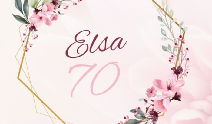 Contribua para os 70 Anos da Elsa