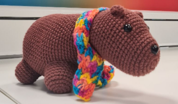 Chá de bebê do Elon