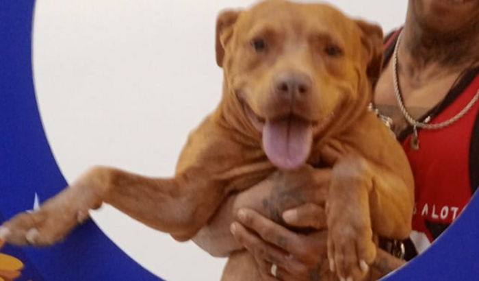 AJUDA PARA A ESTRELA