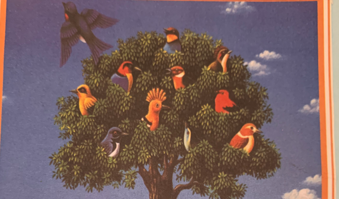 Campanha para meu novo romance 