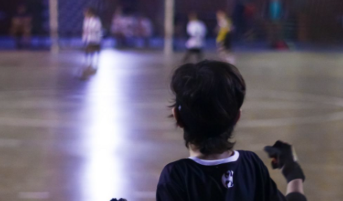 Projeto Os Dragões do Sul